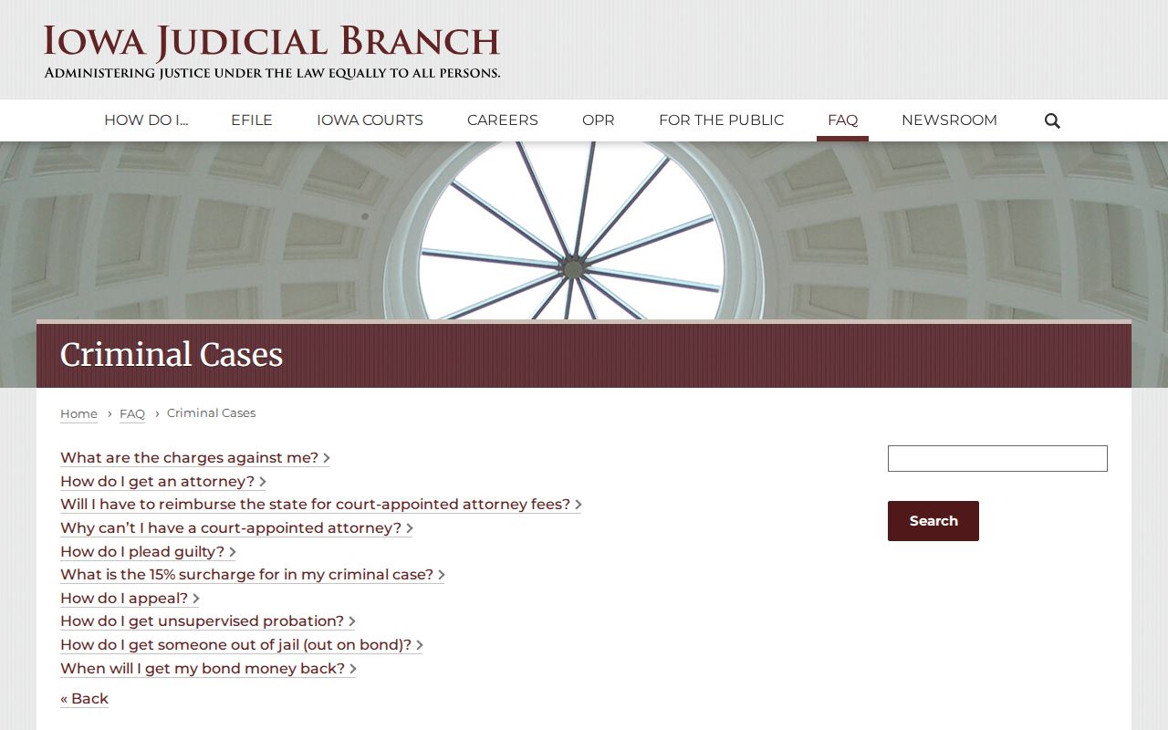 Iowa Courts criminal case search instructions